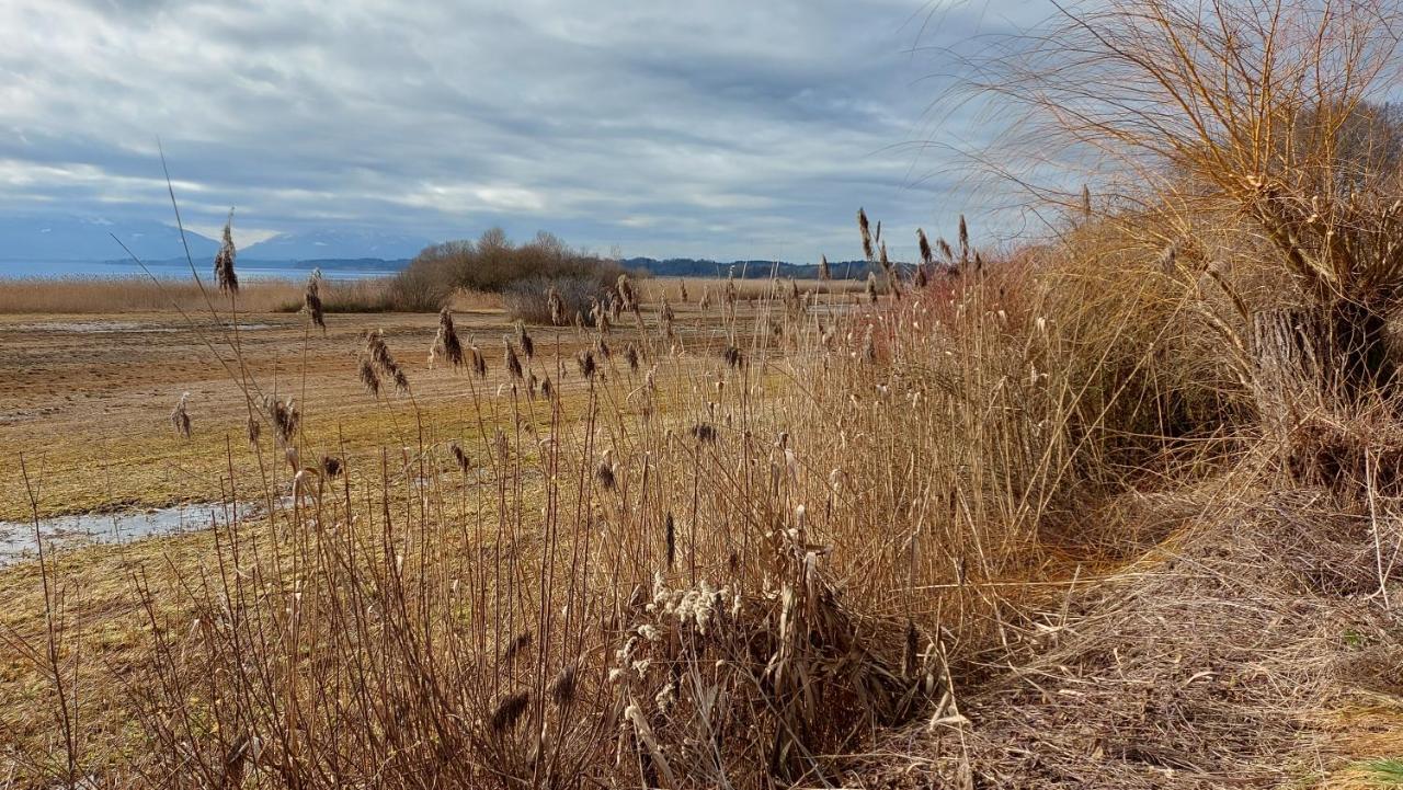 Marxhof Seebruck Am Chiemsee 시온시브루크 외부 사진